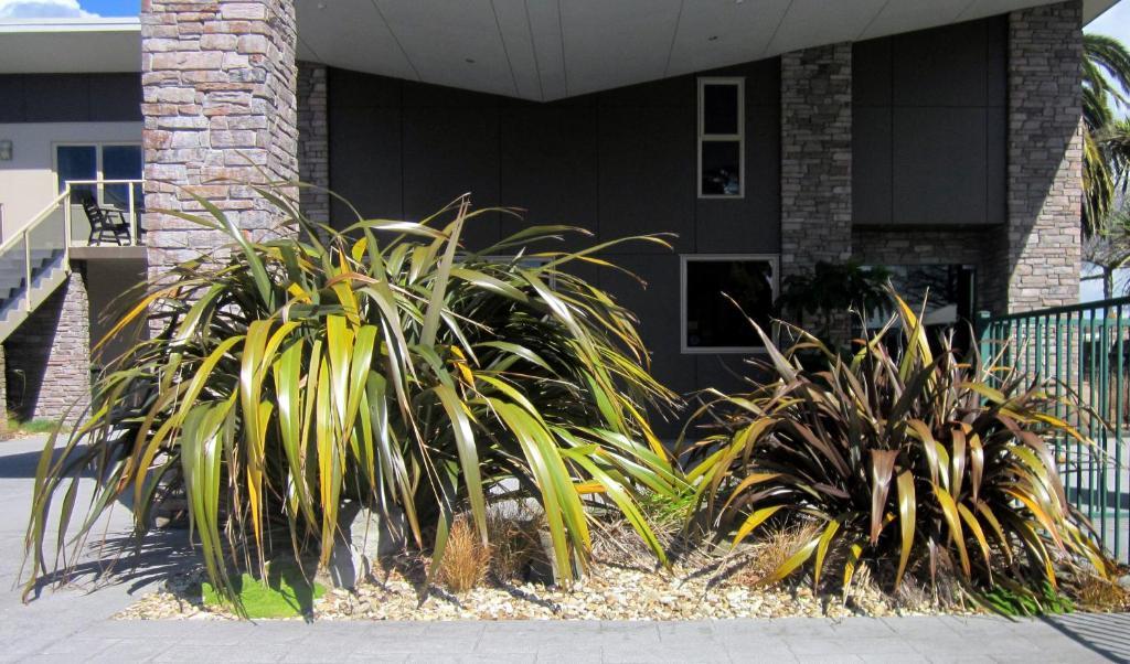 Stay 284 Rotorua - Refurbished Modern Accommodation Esterno foto